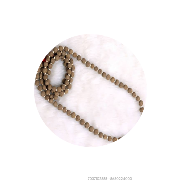 Panchgavya