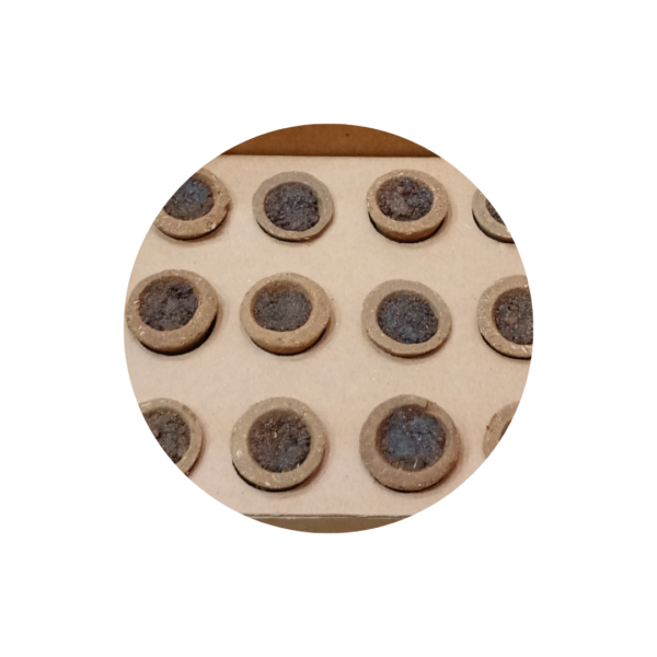 12 Mini Havan Cups